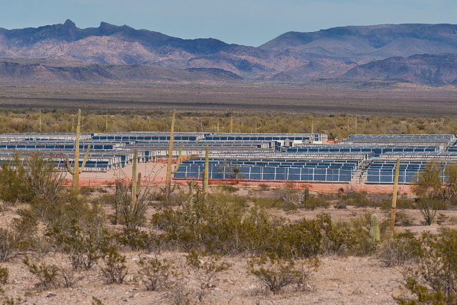 Ajo 1 Image