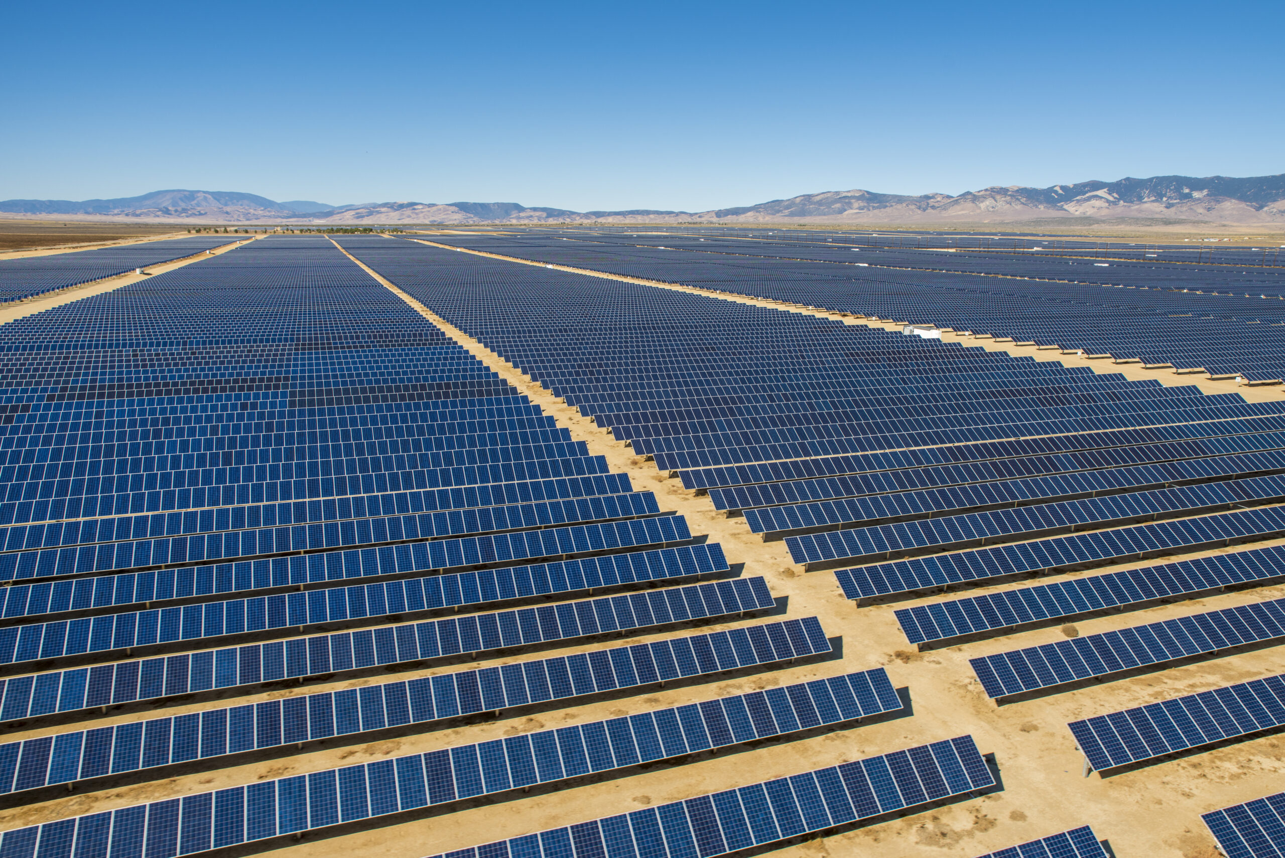 PV Magazine: Anheuser-Busch buys big solar, signs 7th largest corporate ...